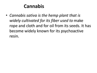 Cannabis
• Cannabis sativa is the hemp plant that is
widely cultivated for its fiber used to make
rope and cloth and for oil from its seeds. It has
become widely known for its psychoactive
resin.
 
