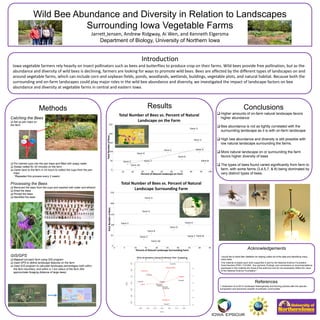 Wild Bee Abundance and Diversity in Relation to Landscapes
Surrounding Iowa Vegetable Farms
Jarrett Jensen, Andrew Ridgway, Ai Wen, and Kenneth Elgersma
Department of Biology, University of Northern Iowa
Acknowledgements
I would like to thank Ben Nettleton for helping collect all of the data and identifying many,
many bees.
This material is based upon work supported in part by the National Science Foundation
Grant Number EPSC-1101284. Any opinions, findings, and conclusions or recommendations
expressed in this material are those of the author(s) and do not necessarily reflect the views
of the National Science Foundation."
References
1. Andersson et al 2013 Landscape Heterogeneity and farming practice alter the species
composition and taxonomic breadth of pollinator communities
Methods
Catching the Bees
 Set up pan traps on
the farm
 Put colored cups into the pan traps and filled with soapy water
 Sweep netted for 20 minutes on the farm
 Came back to the farm in 24 hours to collect the cups from the pan
traps
*Repeated this process every 2 weeks
Processing the Bees
 Removed the bees from the cups and washed with water and ethanol
 Dried the bees
 Pinned the bees
 Identified the bees
GIS/GPS
 Mapped out each farm using GIS program
 Used GPS to define landscape features on the farm
 Used GIS program to calculate landscape percentages both within
the farm boundary, and within a 1-km radius of the farm (the
approximate foraging distance of large bees)
Conclusions
 Higher amounts of on-farm natural landscape favors
higher abundance
 Bee abundance is not as tightly correlated with the
surrounding landscape as it is with on-farm landscape
 High bee abundance and diversity is still possible with
low natural landscape surrounding the farms.
 More natural landscape on or surrounding the farm
favors higher diversity of bees
 The types of bees found varied significantly from farm to
farm, with some farms (3,4,5,7, & 8) being dominated by
very distinct types of bees.
Introduction
Iowa vegetable farmers rely heavily on insect pollinators such as bees and butterflies to produce crop on their farms. Wild bees provide free pollination, but as the
abundance and diversity of wild bees is declining, farmers are looking for ways to promote wild bees. Bees are affected by the different types of landscapes on and
around vegetable farms, which can include corn and soybean fields, ponds, woodlands, wetlands, buildings, vegetable plots, and natural habitat. Because both the
surrounding and on-farm landscapes could play major roles in the wild bee abundance and diversity, we investigated the impact of landscape factors on bee
abundance and diversity at vegetable farms in central and eastern Iowa.
Farm 1
Farm 2
Farm 3
Farm 4
Farm 5
Farm 6
Farm 7 Farm 8
Farm 9
Farm 10
0
50
100
150
200
250
0 10 20 30 40 50 60 70 80 90 100
TotalNumberofBees
Percent of Natural Landscape on Farm
Total Number of Bees vs. Percent of Natural
Landscape on the Farm
Farm 1
Farm 2
Farm 3
Farm 4
Farm 5
Farm 6
Farm 7 Farm 8
Farm 9
Farm 10
0
50
100
150
200
250
0 5 10 15 20 25 30 35 40 45
TotalNumberofBees
Percent of Natural Landscape Surrounding Farm
Total Number of Bees vs. Percent of Natural
Landscape Surrounding Farm
Results
50 10 15 20 25 30 35 40 45
0
50
100
150
200
250
0
50
100
150
200
250
10 20 30 40 50 60 70 80 90 100
 