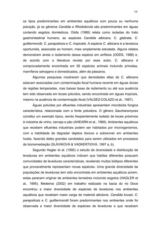 16
os tipos predominantes em ambientes aquáticos com pouca ou nenhuma
poluição, já os gêneros Candida e Rhodotorula são predominantes em águas
contendo esgotos domésticos. Odds (1988) relata como isoladas do trato
gastrointestinal humano, as espécies Candida albicans, C. glabrata, C.
guilliermondii, C. parapsilosis e C. tropicalis. A espécie C. albicans é a levedura
oportunista, associada ao homem, mais amplamente estudada. Alguns relatos
demonstram ainda o isolamento dessa espécie em anfíbios (ODDS, 1988) e,
de acordo com a literatura revista por esse autor, C. albicans é
comprovadamente encontrada em 58 espécies animais incluindo primatas,
mamíferos selvagens e domesticados, além de pássaros.
Algumas pesquisas mostraram que densidades altas de C. albicans
estavam associadas com contaminação fecal humana recente em águas doces
de regiões temperadas, mas baixas taxas de isolamento ou até sua ausência
tem sido observada em locais poluídos, sendo encontrada em águas tropicais,
mesmo na ausência de contaminação fecal (VALDEZ-COLAZO et al., 1987).
Águas poluídas por efluentes industriais apresentam microbiota fúngica
característica, relacionada com a fonte poluidora. O gênero Saccharomyces
constitui um exemplo típico, sendo freqüentemente isolado de locais próximos
à indústria de vinho, cerveja e pão (AHEARN et al., 1968). Ambientes aquáticos
que recebem efluentes industriais podem ser habitados por microrganismos,
com a habilidade de degradar dejetos tóxicos e sobreviver em ambientes
hostis, fazendo deles grandes candidatos para serem utilizados em processos
de biorremediação (SLÁVIKOVÁ & VADKERTIOVÁ, 1997 a, b).
Segundo Hagler et al. (1995) o estudo de diversidade e distribuição de
leveduras em ambientes aquáticos indicam que habitas diferentes possuem
comunidades de leveduras características, revelando muitos biótipos diferentes
que provavelmente representam novas espécies. Uma grande diversidade de
populações de leveduras tem sido encontrada em ambientes aquáticos porem,
estas parecem originar de ambientes terrestres incluindo esgotos (HAGLER et
al., 1995). Medeiros (2002) em trabalho realizado na bacia do rio Doce
encontrou a maior diversidade de espécies de leveduras nos ambientes
aquáticos que recebiam maior carga de material alóctone. Candida krusei, C.
parapsilosis e C. guilliermondii foram predominantes nos ambientes onde foi
observada a maior diversidade de espécies de leveduras e que recebiam
 