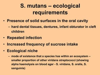 S. mutans – ecological
requirements
• Presence of solid surfaces in the oral cavity
– hard dental tissues, dentures, infan...