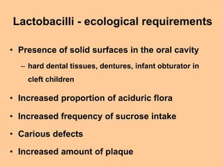 Lactobacilli - ecological requirements
• Presence of solid surfaces in the oral cavity
– hard dental tissues, dentures, in...