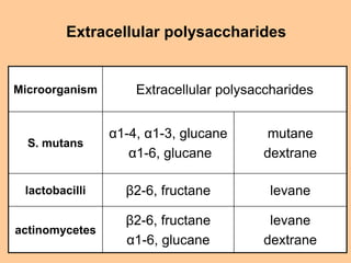 Extracellular polysaccharides
Microorganism Extracellular polysaccharides
S. mutans
α1-4, α1-3, glucane
α1-6, glucane
muta...