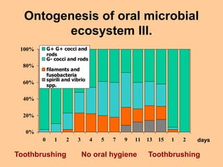 Ontogenesis of oral microbial
ecosystem III.
0%
20%
40%
60%
80%
100%
0 1 2 3 4 5 7 9 11 13 15 1 2
G+ G+ cocci and
rods
G- ...