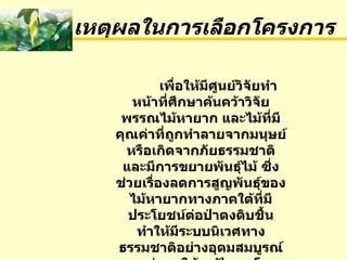 เหตุผลในการเลือกโครงการ เพื่อให้มีศูนย์วิจัยทำหน้าที่ศึกษาค้นคว้าวิจัยพรรณไม้หายาก และไม้ที่มีคุณค่าที่ถูกทำลายจากมนุษย์หรือเกิดจากภัยธรรมชาติ และมีการขยายพันธุ์ไม้   ซึ่งช่วยเรื่องลดการสูญพันธุ์ของไม้หายากทางภาคใต้ที่มีประโยชน์ต่อป่าดงดิบชื้นทำให้มีระบบนิเวศทางธรรมชาติอย่างอุดมสมบูรณ์ และส่งผลให้ลดปัญหาโลกร้อนอีกด้วย 