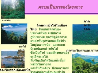 ลักษณะป่าไม้ใน๶มืองไทย   ในแต่ละภาคของประเทศไทย จะมีสภาพภูมิประเทศ สภาพภูมิอากาศ แหล่งพันธุกรรมของสัตว์ป่าใหญ่หลายชนิด  และระบบนิเวศน์แตกต่างกันไป  ซึ่งเป็นตัวกำหนดลักษณะของธรณีพรรณไม้ ที่เจริญเติบโตในแหล่งนั้นๆ พรรณไม้หายาก และไม้ถิ่นเดียว  มีเขตการกระจายพันธุ์ตามลักษณะป่าในแต่ละภาคของเมืองไทยด้วย ภาคตะวันออกเฉียงเหนือ ภาคตะวันออก ภาคตะวันตกและภาคกลาง 