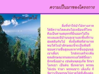 สิ่งที่ทำให้ป่าไม้ทางภาคใต้มีความโดดเด่นไม่เหมือนที่ไหน คือเป็นคาบสมุทรที่ยื่นออกไปในทะเลและมีป่าบนภูเขาและพื้นที่ราบลุ่มสลับกันไป ดังนั้นพืชที่สามารถพบได้ในป่าลักษณะนี้จะเป็นพืชที่ชอบความชื้นสูงและหากขึ้นอยู่บนภูเขาเตี้ยๆ ใกล้ทะเลก็จะเพิ่มคุณลักษณะทนลมทะเลได้ดีขึ้นมาอีกหนึ่งอย่าง เช่นต้นพุดภูเก็ต รักนา โมกเขา เป็นต้น ซึ่งหลายๆ พรรณไม้เช่น จำลา พรหมขาว เล็งเก็ง ก็จัดว่าเป็นพรรณไม้ภาคใต้ที่เสี่ยงต่อการสูญพันธุ์อีกด้วย  