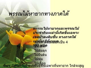 พรรณไม้หายากและพรรณไม้ประจำถิ่นเหล่านี้เกิดขึ้นเฉพาะเขตป่าดงดิบชื้น ทางภาคใต้เท่านั้น มีทั้งหมด 103  ชนิด พรรณไม้แบ่งออกเป็น  4  ประเภท ไม้ล้มลุก ไม้ยืนต้น ไม้พุ่ม ไม้เลื้อย ที่มา   โครงการสำรวจพันธุ์พืชเฉพาะถิ่นหายาก ใกล้จะสูญพันธุ์ในพื้นที่อนุรักษ์ทั่วประเทศ 