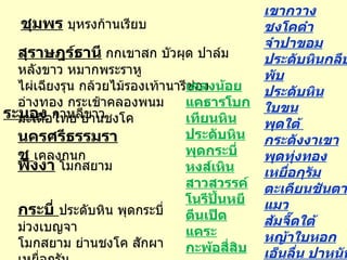 สุราษฎร์ธาȨ   กกเขาสก บัวผุด ปาล์มหลังขาว หมากพระราหู ไผ่เฉียงรุน กล้วยไม้รองเท้านารีช่องอ่างทอง กระเช้าคลองพนม มะเดื่อไทย ย่านชงโค เคลงน้อย แคธารโบก เทียนหิน ประดับหิน พุดกระบี่ หงส์เหิน สาวสวรรค์ โนรีปั้นหยี ตีนเป็ดแคระ กะพ้อสี่สิบ พรหมขาว เขากวาง ชงโคดำ จำปาขอม ประดับหินกลีบพับ ประดับหินใบขน พุดใต้  กระดังงาเขา พุดทุ่งทอง เหยื่อกุรัม ตะเคียนชันตาแมว ส้มจี๊ดใต้ หญ้าใบหอก เอ็นลื่น ปาหนันขี้แมว ไอ้แกรก  จำลา ท่อมหมูช่อ เลื่อมเขา สาวน้ำตก ห่างไก่ใต้  ม่วงลัดดา นครศรีธรรมราช  เคลงกนก ระนอง   กาหลีขาว พังงา   โมกสยาม กระบี่  ประดับหิน พุดกระบี่ ม่วงเบญจา โมกสยาม ย่านชงโค สักผา เหยื่อกุรัม พุดชมพู ชุมพร  บุหรงก้านเรียบ 