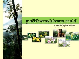 น.ส.มณีรัตน์ อนุพันธ์ 49064993
 