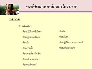 องค์ประกอบหลักของโครงการ

2.ส่วนวิจัย
         2.1 Laboratory
              -ห้องปฏิบัติการชีววิทยา     -ห้องมืด
              -ห้องปฏิบัติการชีวเคมี      -ห้องเก็บของ
              -ห้องเย็น                   -ห้องปฏิบัติการเอนกประสงค์
              -ห้องเพาะเชื้อ              -ห้องเตรียมตัวอย่าง
              -ห้องเพาะเลี้ยงเนื้อเยื่อ
              -ห้องเตรียมสารอาหาร
              -ห้องคอมพิวเตอร์
 