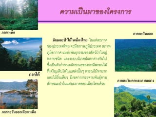 ภาคตะวันออก
                             ลักษณะป่าไม้ในเมืองไทย ในแต่ละภาค
                        ของประเทศไทย จะมีสภาพภูมิประเทศ สภาพ
                        ภูมิอากาศ แหล่งพันธุกรรมของสัตว์ป่าใหญ่
                        หลายชนิด และระบบนิเวศน์แตกต่างกันไป
                        ซึ่งเป็นตัวกาหนดลักษณะของธรณีพรรณไม้
                        ที่เจริญเติบโตในแหล่งนั้นๆ พรรณไม้หายาก
                        และไม้ถิ่นเดียว มีเขตการกระจายพันธุ์ตาม
                                                                  ภาคตะวันตกและภาคกลาง
                        ลักษณะป่าในแต่ละภาคของเมืองไทยด้วย




ภาคตะวันออกเฉียงเหนือ
 