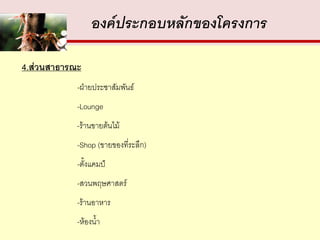 องค์ประกอบหลักของโครงการ

4.ส่วนสาธารณะ
            -ฝ่ายประชาสัมพันธ์
            -Lounge
            -ร้านขายต้นไม้
            -Shop (ขายของที่ระลึก)
            -ตั้งแคมป์
            -สวนพฤษศาสตร์
            -ร้านอาหาร
            -ห้องน้า
 
