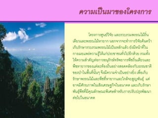 โครงการศูนย์วิจัย และรวบรวมพรรณไม้ถิ่น
เดียวและพรรณไม้หายาก นอกจากจะทาการวิจัยค้นคว้า
เก็บรักษารวบรวมพรรณไม้เป็นหลักแล้ว ยังมีหน้าที่ใน
การเผยแพร่ความรู้ให้แก่ประชาชนทั่วไปอีกด้วย รวมทั้ง
ให้ความสาคัญต่อการอนุรักษ์ทรัพยากรพืชถิ่นเดียวและ
พืชหายากของแต่ละท้องถิ่นอย่างสอดคล้องกับธรรมชาติ
ของป่าในพื้นที่นั้นๆ จึงมีความจาเป็นอย่างยิ่ง เพื่อเก็บ
รักษาพรรณไม้และพืชที่หายากและใกล้จะสูญพันธุ์ แต่
อาจมีศักยภาพในเชิงเศรษฐกิจในอนาคต และเก็บรักษา
พันธุ์พืชที่มีคุณลักษณะพิเศษสาหรับการปรับปรุงพัฒนา
ต่อไปในอนาคต
 