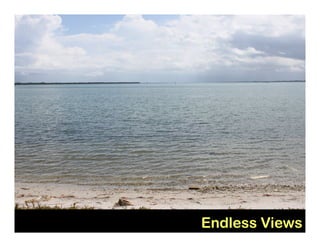 Endless ViewsEndless Views
 