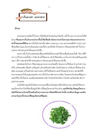 17



               เก็บมาเล่า เอามาฝาก


    บัวบก

          หลายคนอาจเคยดื่มน้าใบบัวบก ที่เมื่อดื่มเข้าไปแล้วช่วยแก้ร้อนใน แก้ช้าใน ลดการกระหายน้าได้ดี
นักแล ซึ่งนอกจากใบบัวบกจะนามาคั้นน้าดื่มได้แล้ว ยังสามารถนาไปทาแผล ช่วยบรรเทาอาการ
ฟกช้าของแผลได้ด้วย เพราะในใบมีกรดมาดีคาสสิค (madecassic acid) และกรดเอเซียติก (asiatic acid)
ที่มีฤทธิ์สมานแผน ไม่วาจะเป็นแผลสด แผลเรือรัง แผลไฟไหม้ น้าร้อนลวก หรือแผลหลังผ่าตัด ใบบัวบก
                         ่                   ้
จะช่วยการอักเสบและทาให้แผลหายเร็วขึน    ้
          นอกจากนัน ใบบัวบกยังช่วยฆ่าเชือแบคทีเรียที่เป็นสาเหตุทาให้เกิดเชือเป็นหนองในได้ วิธีการใช้ก็
                     ้                    ้                                    ้
ง่าย ๆ นาใบบัวบกสดทั้งต้น 1 กามือ ล้างน้าให้สะอาด แล้วตาให้ละเอียด เอาน้ามาทาบริเวณที่เป็นแผลเป็น
บ่อย ๆ ใช้กากพอกด้วยก็ได้ จะช่วยลดอาการอักเสบและทาให้แผลหายเร็วขึน         ้
          ส่วนต้นของใบบัวบก ก็มสรรพคุณทางยามากมายไม่แพ้ใบ โดยสามารถใช้เป็นยาบารุงกาลัง บารุง
                                ี
หัวใจ แก้ออนเพลีย เมื่อยล้า แก้พษงูกัด แก้ปวดศีรษะข้างเดียว ช่วยขับป๎สสาวะ แก้เจ็บคอ ใช้เป็นยาห้าม
             ่                      ิ
เลือด ส่าแผลสด แก้โรคผิวหนัง ลดความดัน แก้ช้าในได้เช่นกัน และถ้าใครชอบทาอาหาร อย่าลืมใส่ใบ
บัวบกลงผสมลงไปในเมนูของคุณด้วย เพราะในใบบัวบกมีสารอาหารเพียบ โดยเฉพาะวิตามินเอที่มีสูงมาก
และยังให้คาร์โบไฮเดรต แคลเซียมฟอสฟอรัส เหล็ก วิตามินบี1วิตามินบี 2 วิตามิน และไนอาซีน เรียกว่า
คุณค่าครบเลยล่ะ
          จะเห็นได้ว่าสมุนไพรใกล้ตัวมากมายเหล่านี้มีประโยชน์อย่างที่นึกไม่ถงมาก่อน แต่คานึงไว้ด้วยว่า
                                                                             ึ
สมุนไพรจะรักษาโรคได้ตองขึ้นอยูกับวิธีการใช้สมุนไพรตามตารับยาด้วย และที่สาคัญ คือสมุนไพรบาง
                           ้      ่
ชนิดก็ไม่เหมาะกับคนที่ป่วยด้วยโรคบางประเภท หรือสตรีมครรภ์ ดังนั้น ควรศึกษาข้อมูล และข้อ
                                                               ี
ควรระวังทุกครั้งก่อนจะใช้สมุนไพรจะดีที่สุดค่ะ
 