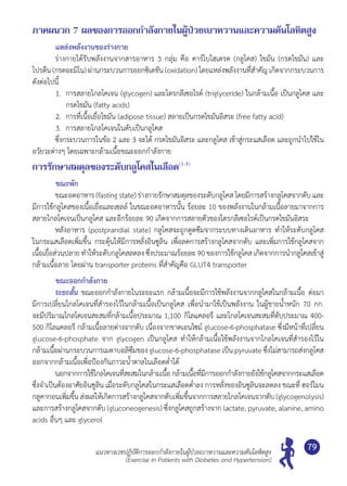 แนวทางเวชปฏิบัติการออกกำ�ลังกายในผู้ป่วยเบาหวานและความดันโลหิตสูง
(Exercise in Patients with Diabetes and Hypertension)
79
ภาคผนวก 7 ผลของการออกกำ�ลังกายในผู้ป่วยเบาหวานและความดันโลหิตสูง
แหล่งพลังงานของร่างกาย
	 ร่างกายได้รับพลังงานจากสารอาหาร 3 กลุ่ม คือ คาร์โบไฮเดรต (กลูโคส) ไขมัน (กรดไขมัน) และ
โปรตีน (กรดอะมิโน) ผ่านกระบวนการออกซิเดชัน (oxidation) โดยแหล่งพลังงานที่สำ�คัญ เกิดจากกระบวนการ	
ดังต่อไปนี้
1.	 การสลายไกลโคเจน (glycogen) และไตรกลีเซอไรด์ (triglyceride) ในกล้ามเนื้อ เป็นกลูโคส และ
กรดไขมัน (fatty acids)
2.	 การที่เนื้อเยื่อไขมัน (adipose tissue) สลายเป็นกรดไขมันอิสระ (free fatty acid)
3.	 การสลายไกลโคเจนในตับเป็นกลูโคส
	 ซึ่งกระบวนการในข้อ 2 และ 3 จะได้ กรดไขมันอิสระ และกลูโคส เข้าสู่กระแสเลือด และถูกนำ�ไปใช้ใน
อวัยวะต่างๆ โดยเฉพาะกล้ามเนื้อขณะออกกำ�ลังกาย
การรักษาสมดุลของระดับกลูโคสในเลือด(1-3)
ขณะพัก
	 ขณะอดอาหาร (fasting state) ร่างกายรักษาสมดุลของระดับกลูโคส โดยมีการสร้างกลูโคสจากตับ และ
มีการใช้กลูโคสของเนื้อเยื่อและเซลล์ ในขณะอดอาหารนั้น ร้อยละ 10 ของพลังงานในกล้ามเนื้อลายมาจากการ
สลายไกลโคเจนเป็นกลูโคส และอีกร้อยละ 90 เกิดจากการสลายตัวของไตรกลีเซอไรด์เป็นกรดไขมันอิสระ
	 หลังอาหาร (postprandial state) กลูโคสจะถูกดูดซึมจากระบบทางเดินอาหาร ทำ�ให้ระดับกลูโคส
ในกระแสเลือดเพิ่มขึ้น กระตุ้นให้มีการหลั่งอินซูลิน เพื่อลดการสร้างกลูโคสจากตับ และเพิ่มการใช้กลูโคสจาก
เนื้อเยื่อส่วนปลาย ทำ�ให้ระดับกลูโคสลดลง ซึ่งประมาณร้อยละ 90 ของการใช้กลูโคส เกิดจากการนำ�กลูโคสเข้าสู่	
กล้ามเนื้อลาย โดยผ่าน transporter proteins ที่สำ�คัญคือ GLUT4 transporter
ขณะออกกำ�ลังกาย
	 ระยะสั้น ขณะออกกำ�ลังกายในระยะแรก กล้ามเนื้อจะมีการใช้พลังงานจากกลูโคสในกล้ามเนื้อ ต่อมา
มีการเปลี่ยนไกลโคเจนที่สำ�รองไว้ในกล้ามเนื้อเป็นกลูโคส เพื่อนำ�มาใช้เป็นพลังงาน ในผู้ชายนํ้าหนัก 70 กก.
จะมีปริมาณไกลโคเจนสะสมที่กล้ามเนื้อประมาณ 1,100 กิโลแคลอรี และไกลโคเจนสะสมที่ตับประมาณ 400-
500 กิโลแคลอรี กล้ามเนื้อลายต่างจากตับ เนื่องจากขาดเอนไซม์ glucose-6-phosphatase ซึ่งมีหน้าที่เปลี่ยน	
glucose-6-phosphate จาก glycogen เป็นกลูโคส ทำ�ให้กล้ามเนื้อใช้พลังงานจากไกลโคเจนที่สำ�รองไว้ใน	
กล้ามเนื้อผ่านกระบวนการเมตาบอลิซึมของ glucose-6-phosphatase เป็น pyruvate ซึ่งไม่สามารถส่งกลูโคส
ออกจากกล้ามเนื้อเพื่อป้องกันภาวะนํ้าตาลในเลือดตํ่าได้
	 นอกจากการใช้ไกลโคเจนที่สะสมในกล้ามเนื้อกล้ามเนื้อที่มีการออกกำ�ลังกายยังใช้กลูโคสจากกระแสเลือด	
ซึ่งจำ�เป็นต้องอาศัยอินซูลิน เมื่อระดับกลูโคสในกระแสเลือดตํ่าลง การหลั่งของอินซูลินจะลดลง ขณะที่ ฮอร์โมน
กลูคากอนเพิ่มขึ้น ส่งผลให้เกิดการสร้างกลูโคสจากตับเพิ่มขึ้นจากการสลายไกลโคเจนจากตับ (glycogenolysis)
และการสร้างกลูโคสจากตับ (gluconeogenesis) ซึ่งกลูโคสถูกสร้างจาก lactate, pyruvate, alanine, amino
acids อื่นๆ และ glycerol
 