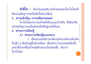 งานนิ ทศการเรียนการสอน โรงเรียนสิรินธร จังหวัดสุรนทร์
งานนิเเทศการเรียนการสอน โรงเรียนสิรินธร จังหวัดสุรนทร์
ิิ

ตัวชี้วัด 1. สังเกตและอธิบายลักษณะของโครโมโซมที่
มีหน่วยพันธุกรรมหรือยีนในนิวเคลียส
3. สาระสําคัญ / ความคิดรวบยอด
โครโมโซมประกอบด้วยดีเอ็นเอและโปรตีน ซึ่งยีนหรือ
หน่วยพันธุกรรมเป็นส่วนหนึ่งที่อยู่บนดีเอ็นเอ
4. สาระการเรียนรู้
4.1 สาระการเรียนรู้แกนกลาง
1. เมื่อมองเซลล์ผ่านกล้องจุลทรรศน์จะเห็นเส้น
ใยเล็ก ๆ พันกันอยู่ในนิวเคลียส เมือเกิดการแบ่งเซลล์เส้นใย
่
เหล่านี้จะขดสั้นเข้าจนมีลักษณะเป็นท่อนสั้น เรียกว่า
โครโมโซม

 