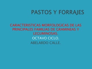 CARACTERISTICAS MORFOLOGICAS DE LAS
PRINCIPALES FAMILIAS DE GRAMINEAS Y
LEGUMINOSAS.
OCTAVO CICLO.
ABELARDO CALLE.
 