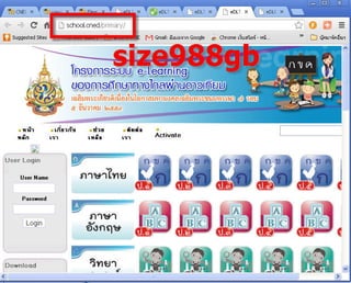 25551108 ??????????????????