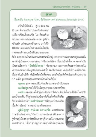 89
วัฒนธรรมอาหารไทย : ภาคกลาง
ตาล
(ชื่อสามัญ Palmyra Palm, ชื่อวิทยาศาสตร์ Borassus flabellifer Linn.)
เป็นไม้ยืนต้น สูงประมาณ
30เมตรต้นกลมเรียวไม่แตกกิ่งก้านสาขา
เปลือกเป็นเสี้ยนแข็ง ใบเดี่ยวเรียง
สลับหนาแน่นบริเวณเรือนยอด รูปร่าง
คล้ายพัด แต่ละแฉกคล้ายดาบ ยาวได้ถึง
140ซม.ปลายแยกเป็น2แฉกก้านใบเป็น
กาบหนาแข็งขอบหยักเป็นหนามแบนคม
สีดำ� ดอกออกเป็นช่อแตกแขนงขนาดใหญ่ ดอกย่อยจะแยกเพศอยู่คนละต้น
ดอกตัวผู้เป็นช่อทรงกระบอกยาวเป็นงวงสีเขียว เมื่อแก่เป็นสีนํ้าตาล ดอกตัวเมีย
เป็นช่อเรียกว่า “จั่นให้นํ้าตาล” ช่อดอกแทงออกจากต้นระหว่างกาบใบ
ผลทรงกลมขนาดใหญ่ประมาณ 6-8 นิ้ว ติดเป็นทะลาย ผลดิบสีเขียว เปลือกเรียบ
เมื่อสุกก้นเป็นสีดำ� หัวสีเหลืองมีกลิ่นหอม ภายในมีเมล็ดใหญ่และแข็งประมาณ
2-3 เมล็ด รูปกลมแบนภายนอกมีขนเป็นเส้นใย
ฤดูกาล ลูกตาลอ่อนมีในช่วงเดือนเมษายนถึงมิถุนายน
แหล่งปลูก พบได้ทั่วไปในทุกภาคของประเทศไทย
การกินดอกอ่อนทั้งตัวผู้และตัวเมียนำ�ไปแกงจั่นให้นํ้าตาลใช้ทำ�นํ้าตาลปึก
และนํ้าตาลปีบหัวลูกตาลอ่อนนำ�มาต้มจิ้มนํ้าพริกหรือต้ม
กับปลาร้าเรียกว่า “ปลาร้าหัวตาล” หรือจะนำ�ไปแกงกับ
เนื้อสัตว์ เรียกว่า ตาลสุกนำ�มาทำ�ขนมตาล
ภูมิปัญญา ค่านิยม ความเชื่อ แกงหัวตาล
ภาษาถิ่นเมืองเพชรบุรีเรียกว่า แกงตะโหนด เป็นอาหาร
คู่บ้านคู่เมืองของจังหวัดเพชรบุรีมาแต่โบราณกาล
แกงหัวตาล ได้มาจากลูกตาลอ่อนหรือลอนตาล
 