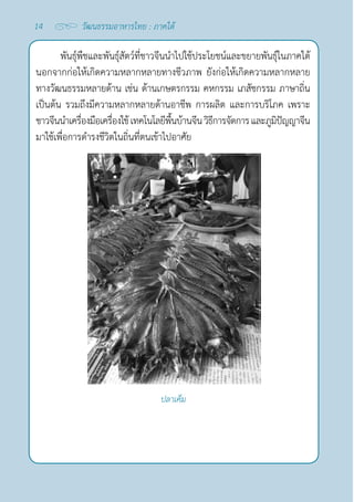 14 วัฒนธรรมอาหารไทย : ภาคใต้
พันธุ์พืชและพันธุ์สัตว์ที่ชาวจีนนำ�ไปใช้ประโยชน์และขยายพันธุ์ในภาคใต้
นอกจากก่อให้เกิดความหลากหลายทางชีวภาพ ยังก่อให้เกิดความหลากหลาย
ทางวัฒนธรรมหลายด้าน เช่น ด้านเกษตรกรรม คหกรรม เภสัชกรรม ภาษาถิ่น
เป็นต้น รวมถึงมีความหลากหลายด้านอาชีพ การผลิต และการบริโภค เพราะ
ชาวจีนนำ�เครื่องมือเครื่องใช้เทคโนโลยีพื้นบ้านจีนวิธีการจัดการและภูมิปัญญาจีน
มาใช้เพื่อการดำ�รงชีวิตในถิ่นที่ตนเข้าไปอาศัย
ปลาเค็ม
 