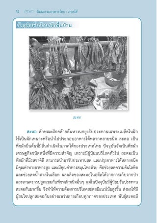74 วัฒนธรรมอาหารไทย : ภาคใต้
วัตถุดิบพื้นบ้าน/ผักพื้นบ้าน
สะตอ
สะตอ ลักษณะฝักคล้ายต้นหางนกยูงรับประทานเฉพาะเมล็ดในฝัก
ใช้เป็นผักเหนาะหรือนำ�ไปประกอบอาหารได้หลากหลายชนิด สะตอ เป็น
พืชผักยืนต้นที่มีถิ่นกำ�เนิดในภาคใต้ของประเทศไทย ปัจจุบันจัดเป็นพืชผัก
เศรษฐกิจชนิดหนึ่งที่มีความสำ�คัญ เพราะมีผู้นิยมบริโภคทั่วไป สะตอเป็น
พืชผักที่มีรสชาติดี สามารถนำ�มารับประทานสด และปรุงอาหารได้หลายชนิด
มีคุณค่าทางอาหารสูง และมีคุณค่าทางสมุนไพรด้วย คือช่วยลดความดันโลหิต
และช่วยลดนํ้าตาลในเลือด ผลผลิตของสะตอในอดีตได้จากการเก็บจากป่า
และเกษตรกรปลูกแซมกับพืชหลักชนิดอื่นๆ แต่ในปัจจุบันมีผู้นิยมรับประทาน
สะตอกันมากขึ้น จึงทำ�ให้ความต้องการบริโภคสะตอมีแนวโน้มสูงขึ้น ส่งผลให้มี
ผู้สนใจปลูกสะตอกันอย่างแพร่หลายเกือบทุกภาคของประเทศ พันธุ์สะตอมี
 