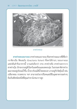 78 วัฒนธรรมอาหารไทย : ภาคใต้
สาหร่ายทะเล
สาหร่ายทะเลเกาะยอ สาหร่ายทะเลเกาะยอ คือสาหร่ายผมนางที่มีชื่อว่า 
กราซิลาเรีย ฟิชเชอไร (Gracilaria fisheri) ซึ่งหาได้ง่ายๆ รอบเกาะยอ
แหล่งต้นตำ�รับอาหารนี้ บางแห่งเรียกว่า สาย สาหร่ายข้อ สาหร่ายเขากวาง
สาหร่ายวุ้น มีกระจายอยู่ทั่วโลกในเขตร้อนและเขตอบอุ่น ในธรรมชาติสาหร่าย
ผมนางจะอยู่บริเวณนํ้าขึ้น–นํ้าลงบริเวณใต้นํ้าตลอดเวลา เกาะอยู่กับวัสดุในนํ้า เช่น
เปลือกหอย กรวดทราย ฯลฯ สามารถนำ�มาบริโภคและใช้ในอุตสาหกรรมต่างๆ
ถือเป็นพืชชนิดหนึ่งที่มีคุณค่าทางโภชนาการสูง
 