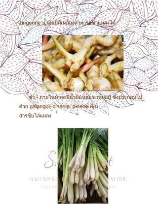 15
zingerine นำ้ามันมีสีเหลืองสามารถฆ่าแมลงได้
ข่า - ภายในหัวจะมีนำ้ามันหอมระเหยอยู่ ซึ่งประกอบไป
ด้วย galangol, cineole, pinene เป็น
สารขับไล่แมลง
 