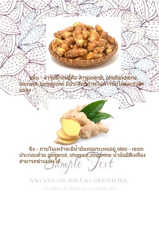 12
ขมิ้น - สารออกฤทธิ์คือ สารpinene, phellandrene,
borneol, turmerone มีประสิทธิ์ภาพในการขับไล่และกำาจัด
แมลง
ขิง - ภายในเหง้าจะมีนำ้ามันหอมระเหยอยู่ oleo - resin
ประกอบด้วย gingerol, shogaol,zingerine นำ้ามันมีสีเหลือง
สามารถฆ่าแมลงได้
 