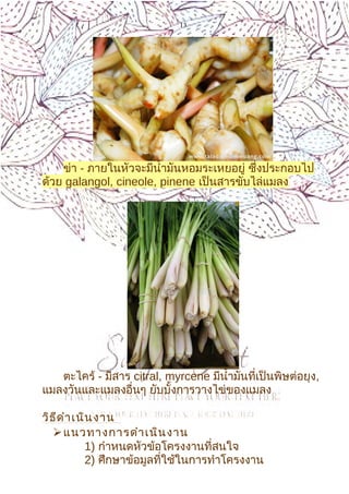 13
ข่า - ภายในหัวจะมีนำ้ามันหอมระเหยอยู่ ซึ่งประกอบไป
ด้วย galangol, cineole, pinene เป็นสารขับไล่แมลง
ตะไคร้ - มีสาร citral, myrcene มีนำ้ามันที่เป็นพิษต่อยุง,
แมลงวันและแมลงอื่นๆ ยับบั้งการวางไข่ของแมลง
วิธีดำาเนินงาน
แนวทางการดำาเนินงาน
1) กำาหนดหัวข้อโครงงานที่สนใจ
2) ศึกษาข้อมูลที่ใช้ในการทำาโครงงาน
 