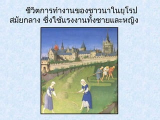 ชีวิตการทำางานของชาวนาในยุโรป 
สมัยกลาง ซึ่งใช้แรงงานทั้งชายและหญิง 
 