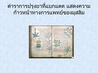 ตำาราการปรุงยาทแี่บกแดด แสดงความ 
ก้าวหน้าทางการแพทย์ของมุสลิม 
 