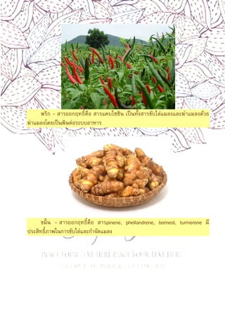 11
พริก - สารออกฤทธิคือ สารแคบไซซิน เป็นทังสารขับไล่แมลงและฆ่าแมลงด้วย
ฆ่าแมลงโดยเป็นพิษต่อระบบอาหาร
ขมิน - สารออกฤทธิคือ สารpinene, phellandrene, borneol, turmerone มี
ประสิทธิภาพในการขับไล่และกําจัดแมลง
 