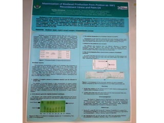 กิจกรรมส่งเสริมพัฒนาโครงการวิจัย สำหรับนักเรียนในโครงการห้องเรียนพิเศษวิทยาศาสตร์ ชั้น