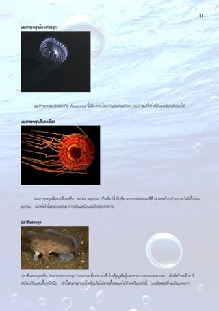 11
แมงกระพรุนโครงกระดูก
แมงกระพรุนคริสตัลหรือ Aequorea นี้มีร่างกายใสแจ๋วและหนวดยาว 30.5 ซม.ที่ทําให้มันดูเหมือนผีลอยได้
แมงกระพรุนสีแดงเลือด
แมงกระพรุนสีแดงเลือดหรือ Atolla wyvillei เป็นสัตว์นํ้าลึกที่สามารถปล่อยแสงสีฟ้าน่าสะพรึงกลัวออกมาได้เมื่อโดน
รบกวน แสงที่เจ้านี้ปล่อยออกมาจากเป็นเหมือนวงล้อรอบร่างกาย
ปลาตีนลายจุด
ปลาตีนลายจุดหรือ Brachionichthys hirsutus คือปลานํ้าลึกใกล้สูญพันธุ์และหายากแห่งออสเตรเลย มันมีครีบหน้าอกที่
เหมือนกับแขนสั้นๆติดมือ เจ้านี้สามารถว่ายนํ้าหรือเดินไปตามพื้นทะเลได้ด้วยครีบเหล่านี้ แต่มันชอบที่จะเดินมากกว่า
 