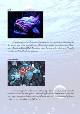 4
ปลาอีรี
เจ้าปลาที่มีฟันแหลมคมเต็มปากนี้ได้กลายมาเป็นปีศาจแห่งฝันร้ายตัวใหม่สําหรับเด็กๆหลังจากที่ภาพยนตร์ดิสนีย์
เรื่อง "Finding Nemo" เข้าฉาย (ตอนที่พ่อนีโมกับดอรี่ร่วงไปในทะเลลึกพร้อมกับหน้ากาดํานํ้าและก็เจอแสงไฟจากเจ้านี้หลอก
เอาอ่ะ) เจ้าปลาหน้ากลัวนี้ล่อเหยื่อให้เข้ามาใกล้โดยใช้แสงจาก "คันเบ็ด" ที่งอกออกมาจากหัว เหยื่อล่อของปลาที่จริงแล้วก็คือ
ส่วนหนึ่งของกระดูกสันหลังที่เต็มไปด้วยแบคทีเรียเรืองแสง
ทากทะเลสั่นประสาท
ทากทะเลที่อาศัยอยู่ตามพื้นทะเลนั้นมีมากมายหลายสีสันยังกะสีรุ้ง ซึ่งสีเหล่านี้รวมถึงสีแดงเลือดพร้อมด้วยลายสีฟ้า
นีออนที่ทําให้เจ้ามอลลัสก์นี้ดูเหมือนกําลังลุกไหม้อยู่ ทากทะลาส่วนใหญ่นั้นเป็นสัตว์กินเนื้อที่มีขากรรไกรเต็มไปด้วยฟันแหลมๆ
เรียกว่า เรดุลล่า ฟันเหล่านี้ถูกใช้เพื่อแทะเอาเนื้อออกมาจากปลาโชคร้ายที่ว่ายนํ้าผ่านไป ถึงแม้ว่าทากทะเลส่วนใหญ่นั้นมีความ
ยาวน้อยกว่า 5 ซม. บางสปีชีส์นั้นก็สามารถยาวได้ถึง 30.5 ซม.
 