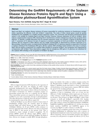 Determining the GmRIN4 Requirements of the Soybean
Disease Resistance Proteins Rpg1b and Rpg1r Using a
Nicotiana glutinosa-Based Agroinfiltration System
Ryan Kessens, Tom Ashfield, Sang Hee Kim¤
, Roger W. Innes*
Department of Biology, Indiana University, Bloomington, Indiana, United States of America
Abstract
Rpg1b and Rpg1r are soybean disease resistance (R) genes responsible for conferring resistance to Pseudomonas syringae
strains expressing the effectors AvrB and AvrRpm1, respectively. The study of these cloned genes would be greatly
facilitated by the availability of a suitable transient expression system. The commonly used Niciotiana benthamiana-based
system is not suitable for studying Rpg1b and Rpg1r function, however, because expression of AvrB or AvrRpm1 alone
induces a hypersensitive response (HR), indicating that N. benthamiana contains endogenous R genes that recognize these
effectors. To identify a suitable alternative host for transient expression assays, we screened 13 species of Nicotiana along
with 11 accessions of N. tabacum for lack of response to transient expression of AvrB and AvrRpm1. We found that N.
glutinosa did not respond to either effector and was readily transformable as determined by transient expression of b-
glucuronidase. Using this system, we determined that Rpg1b-mediated HR in N. glutinosa required co-expression of avrB and
a soybean ortholog of the Arabidopsis RIN4 gene. All four soybean RIN4 orthologs tested worked in the assay. In contrast,
Rpg1r did not require co-expression of a soybean RIN4 ortholog to recognize AvrRpm1, but recognition was suppressed by
co-expression with AvrRpt2. These observations suggest that an endogenous RIN4 gene in N. glutinosa can substitute for
the soybean RIN4 ortholog in the recognition of AvrRpm1 by Rpg1r.
Citation: Kessens R, Ashfield T, Kim SH, Innes RW (2014) Determining the GmRIN4 Requirements of the Soybean Disease Resistance Proteins Rpg1b and Rpg1r
Using a Nicotiana glutinosa-Based Agroinfiltration System. PLoS ONE 9(9): e108159. doi:10.1371/journal.pone.0108159
Editor: Hua Lu, UMBC, United States of America
Received June 8, 2014; Accepted August 25, 2014; Published September 22, 2014
Copyright: ß 2014 Kessens et al. This is an open-access article distributed under the terms of the Creative Commons Attribution License, which permits
unrestricted use, distribution, and reproduction in any medium, provided the original author and source are credited.
Data Availability: The authors confirm that all data underlying the findings are fully available without restriction. All relevant data are within the paper and its
Supporting Information files.
Funding: RK was the recipient of a summer research grant from the Hutton Honors College of Indiana University (http://www.indiana.edu/,iubhonor/). This
work was supported by the National Institute of General Medical Sciences of the National Institutes of Health grant no. R01 GM046451 to RWI (http://www.nigms.
nih.gov/Pages/default.aspx). The funders had no role in study design, data collection and analysis, decision to publish, or preparation of the manuscript.
Competing Interests: The authors have declared that no competing interests exist.
* Email: rinnes@indiana.edu
¤ Current address: Division of Plant Sciences, University of Missouri, Columbia, Missouri, United States of America
Introduction
Effector-triggered immunity (ETI) depends on the expression of
disease resistance (R) genes, the majority of which encode
nucleotide binding-leucine rich repeat (NB-LRR) proteins. NB-
LRR proteins have been shown to detect effectors by both direct
and indirect mechanisms [1]. Indirect recognition requires an
intermediate protein that serves as a substrate for the effector.
These intermediate proteins are targeted by effectors and can be
modified in ways such as proteolytic cleavage or phosphorylation.
This allows R proteins to indirectly detect the presence of effectors
by monitoring the status of the effector targets [2].
AvrB and AvrRpm1 are two effectors found in certain strains of
Pseudomonas syringae [3,4], the causative agent of soybean
bacterial blight and related diseases in other plant species. In
Arabidopsis thaliana, the R gene RPM1 confers resistance to
bacteria expressing both of these effectors, but only if a functional
copy of RIN4 is also present in the genome [5,6]. This is
considered a classic example of indirect recognition. The R
protein (RPM1) guards the effector target (RIN4), which is
modified in the presence of both AvrB and AvrRpm1 [6]. Both of
these effectors are thought to modify RIN4 through phosphory-
lation, but whether this is direct or indirect remains unclear [7]
[8]. Phosphorylation of RIN4 is detected by RPM1, which then
initiates a signaling cascade that leads to a form of programmed
cell death known as the hypersensitive response (HR) that inhibits
the spread of the invading pathogen [9].
While recognition of AvrB and AvrRpm1 in soybean likely has
similarities to that in Arabidopsis, there are at least two key
differences. Unlike Arabidopsis, which requires just one R gene to
confer resistance to both AvrB and AvrRpm1, soybean requires
two R genes. These R genes are Rpg1b and Rpg1r, which confer
resistance to AvrB and AvrRpm1, respectively [10]. Another
difference is that the Arabidopsis genome only encodes one RIN4
gene while soybean contains four RIN4-homologues (GmRIN4a,
GmRIN4b, GmRIN4c, and GmRIN4d) [11]. At least two of these
family members, GmRIN4a and GmRIN4b, appear to be
necessary for Rpg1b to confer resistance to AvrB [12].
Several R gene recognition systems have been reconstituted in
Nicotiana benthamiana by infiltrating leaves with a mixture of
Agrobacterium tumefaciens strains that transfer genes coding for an
effector, R protein, and any intermediate protein(s) that might be
necessary for an R protein to recognize the effector [13-15]. If an
PLOS ONE | www.plosone.org 1 September 2014 | Volume 9 | Issue 9 | e108159
 