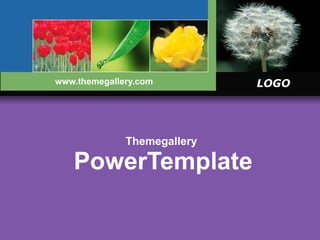 Themegallery   PowerTemplate www.themegallery.com 