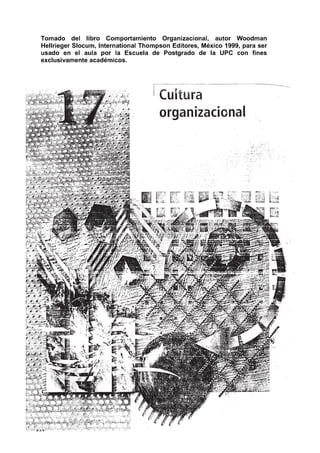Cap 17. Cultura Organizacional