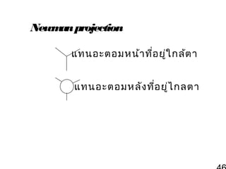 Newm projection
an
แทนอะตอมหน้า ที่อ ยู่ใ กล้ต า
แทนอะตอมหลัง ที่อ ยู่ไ กลตา

 