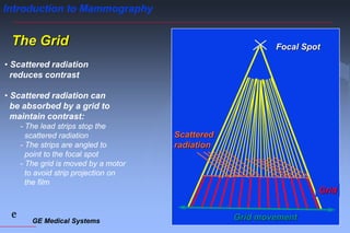 GE Medical Systems
e
Introduction to Mammography
The Grid
• Scattered radiation
reduces contrast
• Scattered radiation can
be absorbed by a grid to
maintain contrast:
- The lead strips stop the
scattered radiation
- The strips are angled to
point to the focal spot
- The grid is moved by a motor
to avoid strip projection on
the film
Focal Spot
Scattered
radiation
Grid movement
Grid
 