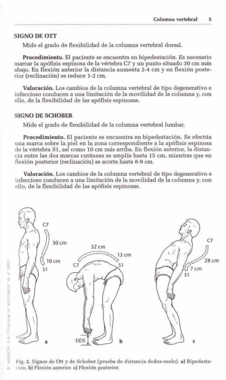 Duele la espalda al doblamiento del cuello