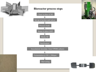Bioreactor process steps
Clean in place (CIP)
Set up of probes and valves
Pressure hold
Steam in place (SIP)
Media fill
Sterilization
Inoculation( inoculate from YPDM culture)
Fermentation at 30o c ,200rpm
Harvesting
 