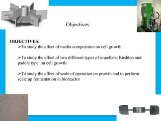 Objectives
OBJECTIVES:
To study the effect of media composition on cell growth
To study the effect of two different types of impellers: Rushton and
paddle type on cell growth
To study the effect of scale of operation on growth and to perform
scale up fermentation in bioreactor
 