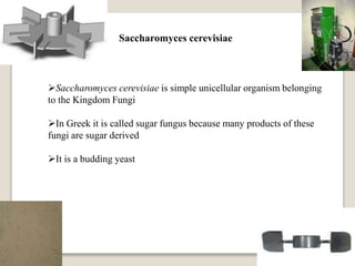 Saccharomyces cerevisiae
Saccharomyces cerevisiae is simple unicellular organism belonging
to the Kingdom Fungi
In Greek it is called sugar fungus because many products of these
fungi are sugar derived
It is a budding yeast
 