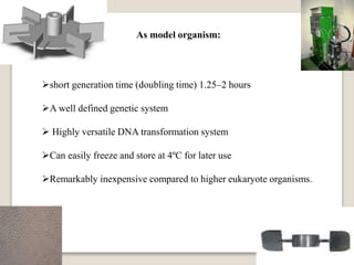 As model organism:
short generation time (doubling time) 1.25–2 hours
A well defined genetic system
 Highly versatile DNA transformation system
Can easily freeze and store at 4ºC for later use
Remarkably inexpensive compared to higher eukaryote organisms.
 