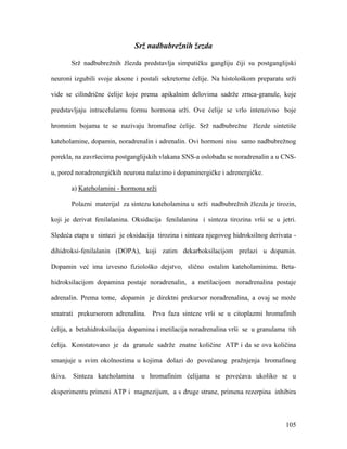 105
Srž nadbubrežnih žezda
Srž nadbubrežnih žlezda predstavlja simpatičku gangliju čiji su postganglijski
neuroni izgubili svoje aksone i postali sekretorne ćelije. Na histološkom preparatu srži
vide se cilindrične ćelije koje prema apikalnim delovima sadrže zrnca-granule, koje
predstavljaju intracelularnu formu hormona srži. Ove ćelije se vrlo intenzivno boje
hromnim bojama te se nazivaju hromafine ćelije. Srž nadbubrežne žlezde sintetiše
kateholamine, dopamin, noradrenalin i adrenalin. Ovi hormoni nisu samo nadbubrežnog
porekla, na završecima postganglijskih vlakana SNS-a oslobađa se noradrenalin a u CNS-
u, pored noradrenergičkih neurona nalazimo i dopaminergičke i adrenergičke.
a) Kateholamini - hormona srži
Polazni materijal za sintezu kateholamina u srži nadbubrežnih žlezda je tirozin,
koji je derivat fenilalanina. Oksidacija fenilalanina i sinteza tirozina vrši se u jetri.
Sledeća etapa u sintezi je oksidacija tirozina i sinteza njegovog hidroksilnog derivata -
dihidroksi-fenilalanin (DOPA), koji zatim dekarboksilacijom prelazi u dopamin.
Dopamin već ima izvesno fiziološko dejstvo, slično ostalim kateholaminima. Beta-
hidroksilacijom dopamina postaje noradrenalin, a metilacijom noradrenalina postaje
adrenalin. Prema tome, dopamin je direktni prekursor noradrenalina, a ovaj se može
smatrati prekursorom adrenalina. Prva faza sinteze vrši se u citoplazmi hromafinih
ćelija, a betahidroksilacija dopamina i metilacija noradrenalina vrši se u granulama tih
ćelija. Konstatovano je da granule sadrže znatne količine ATP i da se ova količina
smanjuje u svim okolnostima u kojima dolazi do povećanog pražnjenja hromafinog
tkiva. Sinteza kateholamina u hromafinim ćelijama se povećava ukoliko se u
eksperimentu primeni ATP i magnezijum, a s druge strane, primena rezerpina inhibira
 