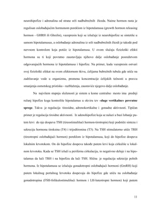 11
neurohipofize i adrenalina od strane srži nadbubrežnih žlezda. Naime hormon rasta je
regulisan oslobađajućim hormonom poreklom iz hipotalamusa (growth hormon releasing
hormon - GHRH ili Ghrelin), vazopresin koji se izlučuje iz neurohipofize se sintetiše u
samom hipotalamusus, a oslobađanje adrenalina iz srži nadbubrežnih žlezdi je takođe pod
nervnom kontrolom koja potiče iz hipotalamusa. U ovom slučaju fiziološki efekti
hormona su ti koji povratno zaustavljaju njihovo dalje oslobađanje posredstvom
odgovarajućih hormona iz hipotalamusa i hipofize. Na primer, kada vazopresin ostvari
svoj fiziološki efekat na svom efektornom tkivu, ćelijama bubrežnih tubula gde utiče na
zadržavanje vode u organizmu, promena koncentracije ćelijskih tečnosti u pravcu
smanjenja osmotskog pristiska - razblaženja, zaustaviće njegovo dalje oslobađanje.
Na najvišem stupnju složenosti je sistem u kome centralno mesto ima prednji
režanj hipofize koga kontroliše hipotalamus u okviru tzv «duge vertikalne» povratne
sprege. Takva je regulacija tireoidne, adrenokortikalne i gonadne aktivnosti. Tipičan
primer je regulacija tiroidne aktivnosti. Iz adenohipofize koja se nalazi u bazi lobanje pu-
tem krvi do nje dospeva TSH (tireostimulišući hormon-tirotropin) koji podstiče sintezu i
sekreciju hormona tiroksina (T4) i trijodtironina (T3). Na TSH stimulatorno utiče TRH
(tireotropni oslobađajući hormon) poreklom iz hipotalamusa, koji do hipofize dospeva
lokalnim krvotokom. On do hipofize dospeva takođe putem krvi koja cirkuliše u lokal-
nom krvotoku. Kada se TSH izluči u perifernu cirkulaciju, to negativno deluje i na hipo-
talamus da luči TRH i na hipofizu da luči TSH. Slična je regulacija sekrecije polnih
hormona. Iz hipotalamusa se izlučuju gonadotropni oslobađajući hormoni (GrnRH) koji
putem lokalnog portalnog krvotoka dospevaju do hipofize gde utiču na oslobađanje
gonadotropina (FSH-folikulostimulišući hormon i LH-luteotropni hormon) koji putem
 