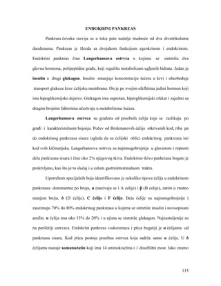 115
ENDOKRINI PANKREAS
Pankreas čoveka razvija se u toku pete nedelje trudnoće od dva divertikuluma
duodenuma. Pankreas je žlezda sa dvojakom funkcijom egzokrinom i endokrinom.
Endokrini pankreas čine Langerhansova ostrvca u kojima se sintetišu dva
glavna hormona, polipeptidne građe, koji regulišu metabolizam ugljenih hidrata. Jedan je
insulin a drugi glukagon. Insulin smanjuje koncentraciju šećera u krvi i obezbeđuje
transport glukoze kroz ćelijsku membranu. On je po svojim efefktima jedini hormon koji
ima hipoglikemijsko dejstvo. Glukagon ima suprotan, hiperglikemijski efekat i zajedno sa
drugim brojnim faktorima učestvuje u metabolizmu šećera.
Langerhansova ostrvca su građena od posebnih ćelija koje se razlikuju po
građi i karakterističnom bojenju. Počev od Brokmanovih ćelija otkrivenih kod, riba pa
do endokrinog pankreasa sisara izgleda da su ćelijski oblici endokrinog pankreasa isti
kod svih kičmenjaka. Langerhansova ostrvca su najmnogobrojnija u glavenom i repnom
delu pankreasa sisara i čine oko 2% njegovog tkiva. Endokrino tkivo pankreasa bogato je
prokrvljeno, kao što je to slučaj i u celom gastrointestinalnom traktu.
Upotrebom specijalnih boja identifikovano je nekoliko tipova ćelija u endokrinom
pankreasu: dominantne po broju, α (nazivaju se i A ćelije) i β (B ćelije), zatim u znatno
manjem broju, δ (D ćelije), C ćelije i F ćelije. Beta ćelije su najmnogobrojnije i
zauzimaju 70% do 80% endokrinog pankreasa u kojima se sintetiše insulin i novoopisani
amilin. α ćelija ima oko 15% do 20% i u njima se sintetiše glukagon. Najzastuljenije su
na periferiji ostrvaca. Endokrini pankreas vodozemaca i ptica bogatiji je α ćelijama od
pankreasa sisara. Kod ptica postoje posebna ostrvca koja sadrže samo α ćelije. U δ
ćelijama nastaje somatostatin koji ima 14 aminokiselina i 1 disulfidni most. Iako znamo
 