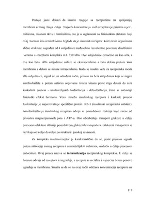 118
Postoje jasni dokazi da insulin reaguje sa receptorima na spoljašnjoj
membrani velikog broja ćelija. Najveća koncentracija ovih receptora je prisutna u jetri,
mišićima, masnom tkivu i limfocitima, što je u saglasnosti sa fiziološkim efektom koji
ovaj hormon ima u tim tkivima. Izgleda da je insulinski receptor kod većine organizama
slične strukture, sagrađen od 4 subjedinice međusobno kovalentno povezane disulfidnim
vezama u receptorni kompleks m.t. 350 kDa. Dve subjedinice označene su kao alfa, a
dve kao beta. Alfa subjedinice nalaze se ekstracelularno a beta delom prolaze kroz
membranu a delom se nalaze intracelularno. Kada se insulin veže za receptorska mesta
alfa subjedinice, signal se, na određeni način, prenosi na beta subjedinicu koja se najpre
autofosforiliše a potom aktivira sopstvenu tirozin kinazu posle čega dolazi do niza
kaskadnih procesa - unutarćelijskih fosforilacija i defosforilacija, čime se ostvaruje
fiziološki efekat hormona. Veza između insulinskog receptora i kaskade procesa
fosforilacije je najverovatnije specifični protein IRS-1 (insulinski receptorski substrat).
Autofosforilacija insulinskog receptora odvija se posredstvom reakcija koje zavise od
prisustva magnezijumovih jona i ATP-a. One obezbeđuju transport glukoze u ćeliju
procesom olakšane difuzije posredstvom glukoznih transportera. Glukozni transporteri se
razlikuju od ćelije do ćelije po strukturi i jonskoj zavisnosti.
Za kompleks insulin-receptor je karakteristično da se, posle prenosa signala
putem aktivacije samog receptora i unutarćelijskih substrata, »uvlači« u ćeliju procesom
endocitoze. Ovaj proces naziva se internalizacija receptorskog kompleksa. U ćeliji se
hormon odvaja od receptora i razgrađuje, a receptor se reciklira i najvećim delom ponovo
ugrađuje u membranu. Smatra se da se na ovaj način održava koncentracija receptora na
 